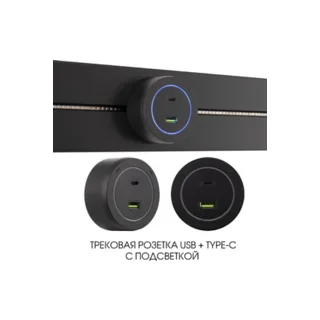 Трековая розетка Arte Milano Am-track-sockets-39 399731TS/USB-Type-C Black - фото 1