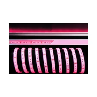 Светодиодная лента Deko-Light SMD5050 840256 - фото 2