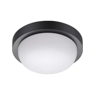 Потолочный светильник уличный Opal 358015 - фото 1