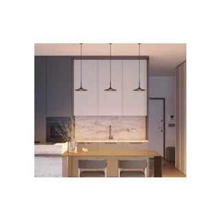Чаша потолочная встраиваемая Arlight SPX-CANOPY-R60-C4 046009 - фото 5