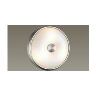 Настенно потолочный светильник Odeon Light Pelow 4957/2 - фото 4