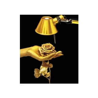 Офисная настольная лампа Tolomeo micro 0011860A - фото 3