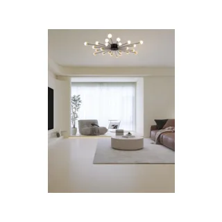 Потолочная люстра Freya Celebrity FR5242CL-24B - фото 4