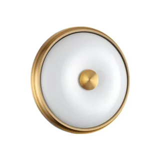Настенно потолочный светильник Odeon Light Pelow 4956/2 - фото 1