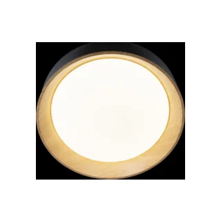 Потолочный светильник Coin Loft It 10202 Black - фото 4
