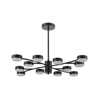 Потолочная люстра Lumion Torina 8117/12 - фото 1