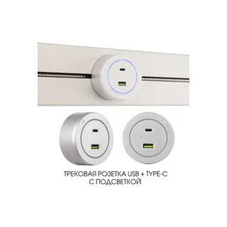 Трековая розетка Arte Milano Am-track-sockets-39 399731TS/USB-Type-C Silver - фото 1