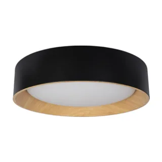 Потолочный светильник Coin Loft It 10202 Black - фото 1