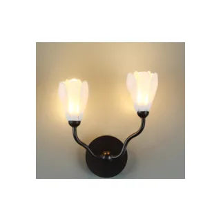 Настенное бра Odeon Light Gardi 5090/2W - фото 5