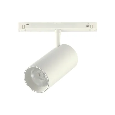 Трековый светильник ST Luce Functional ST375.506.20