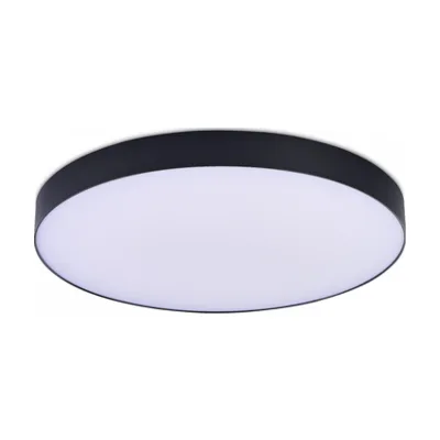 Светильник потолочный ST Luce ST606.442.96