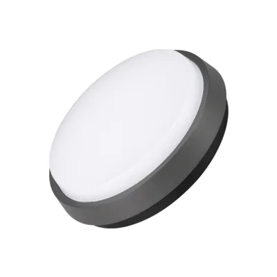 Уличный потолочный светильник Arlight 029948