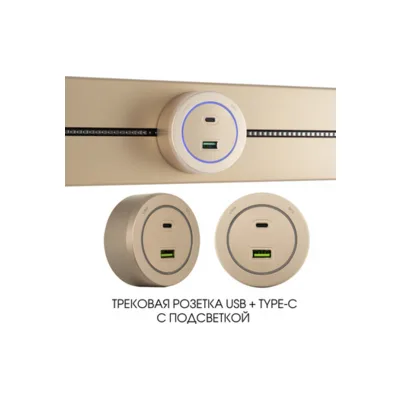 Трековая розетка Arte Milano Am-track-sockets-39 399731TS/USB-Type-C Gold