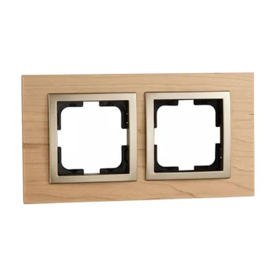 Рамка на 2 поста Mono Electric Style 107-520000-161