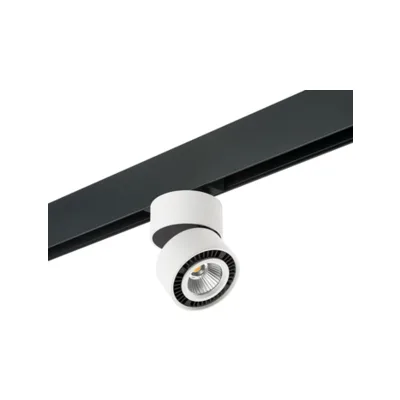 Трековый светильник Lightstar Forte Muro PRO214816