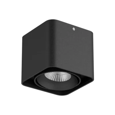 Накладной светильник Lightstar Monocco 212517