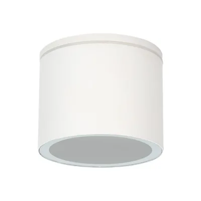 Уличный потолочный светильник Arte Lamp Piautos A1913PF-1WH