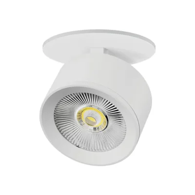Спот Alta Pro A5546RS