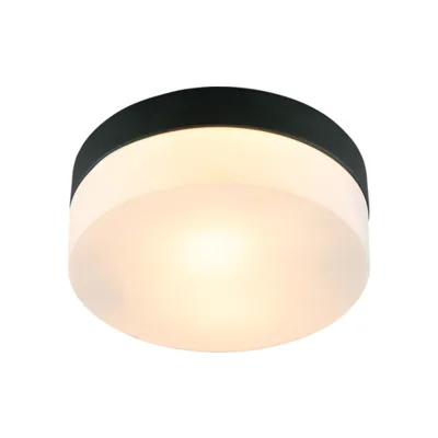 Светильник потолочный Arte Lamp Aqua-Tablet A6047PL-1BK