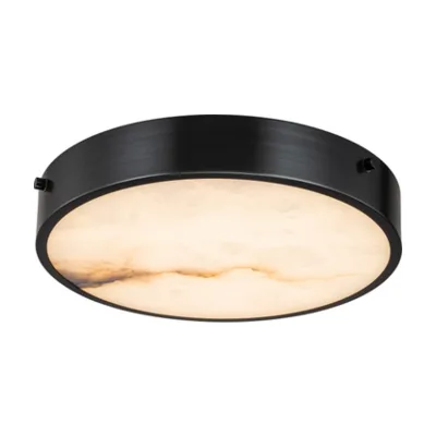 Потолочный светильник Devon 3395-3 BL MB