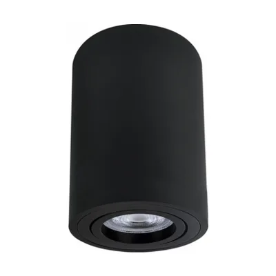 Накладной светильник Arte Lamp Sentry A1566PL-1BK