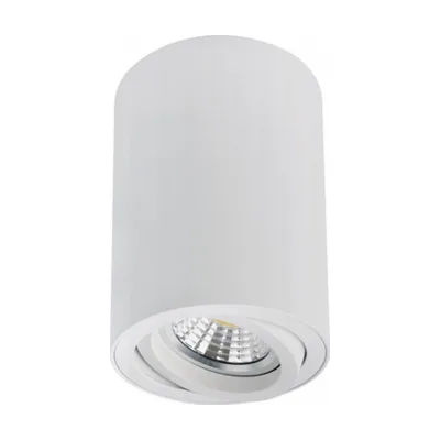 Накладной светильник Arte Lamp Sentry A1566PL-1WH