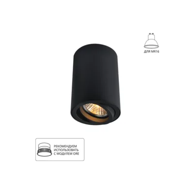 Накладной светильник Arte Lamp Sentry A1560PL-1BK