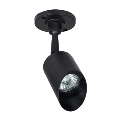 Прожектор уличный Elsie A1022AL-1BK