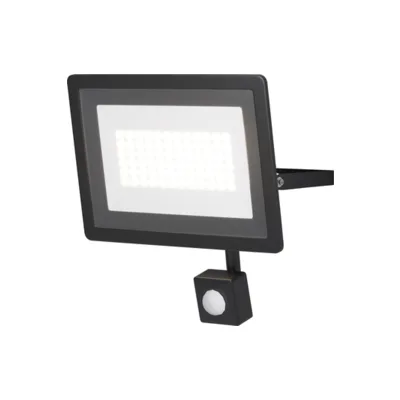 Прожектор уличный Maytoni Flood FL001-L50B4KSR