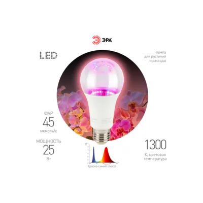 Фитолампа ЭРА FITO-25W-RB-E27