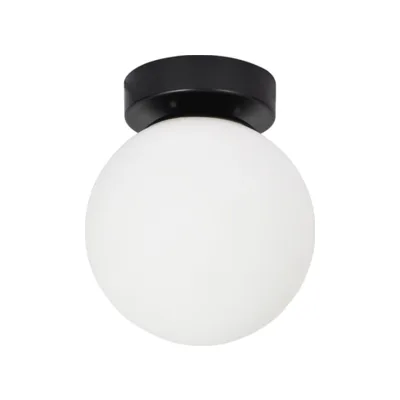 Светильник потолочный Arte Lamp Alcor A2224PL-1BK