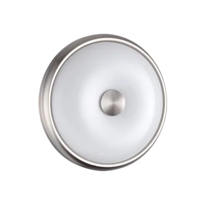 Настенно потолочный светильник Odeon Light Pelow 4957/2