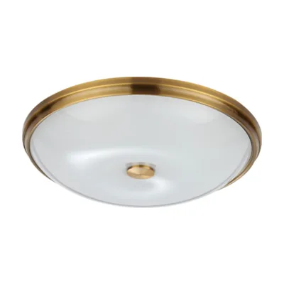 Светильник потолочный Odeon Light Pelow 4956/5