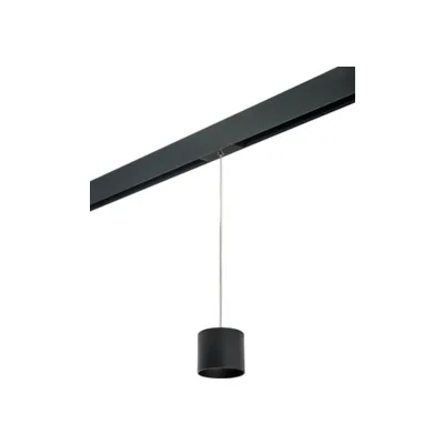Трековый светильник Lightstar Rullo PRORP3487
