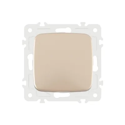 Выключатель Arte Milano Am-205 205.30-1.shampan