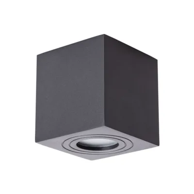 Накладной светильник Arte Lamp Galopin A1461PL-1BK