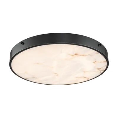 Потолочный светильник Devon 3395-5 BL MB