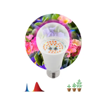 Фитолампа ЭРА FITO-12W-RB-E27