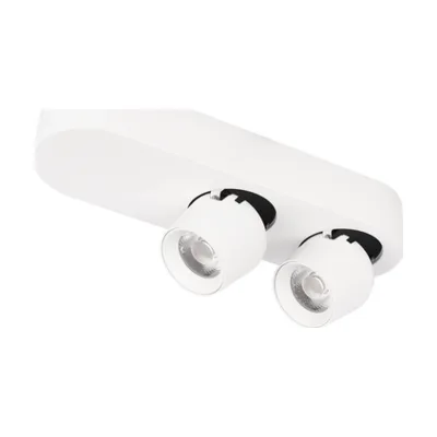 Спот Quiet Loft It 10320/2 White
