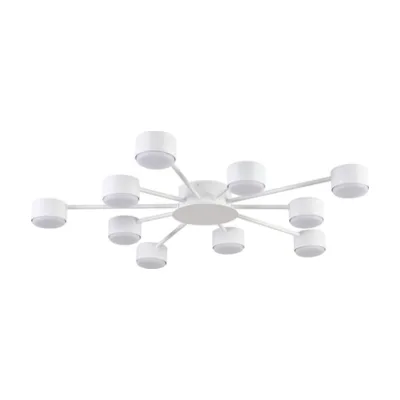 Потолочная люстра Lumion Torina 8343/10C