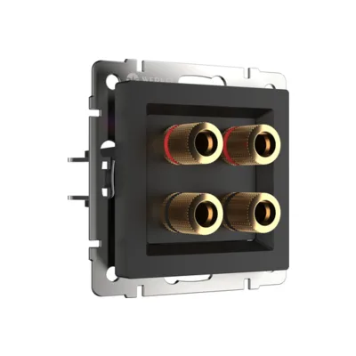 Розетка Werkel W1185008/ Акустическая розетка (черный матовый)
