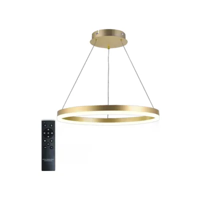 Подвесной светильник LED LIGHT LED LAMPS 81296