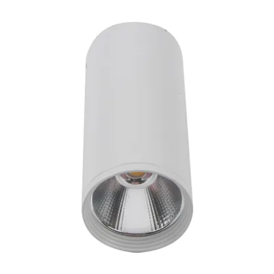 Накладной светильник KINK Light Фабио 08570-12,01