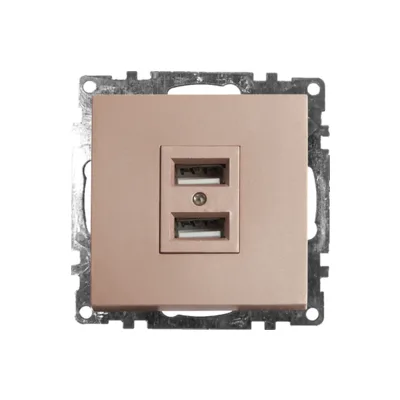 Розетка USB 2-местная Stekker Катрин 39602