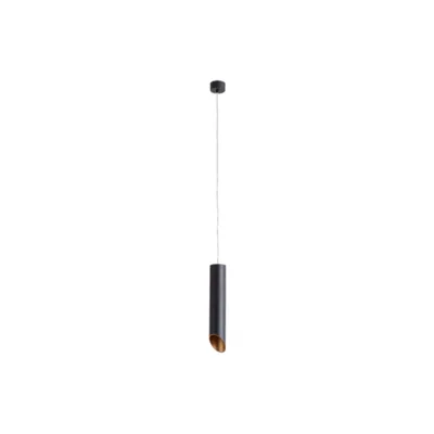Светильник подвесной Arte Lamp Pilon-Gold A1536SP-1BK