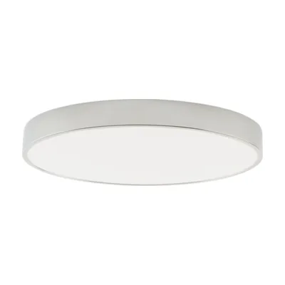 Светильник потолочный Zortes Tortty ZRS.02565.72