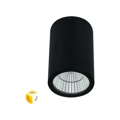 Уличный потолочный светильник Arte Lamp Torcular A1307PF-1BK