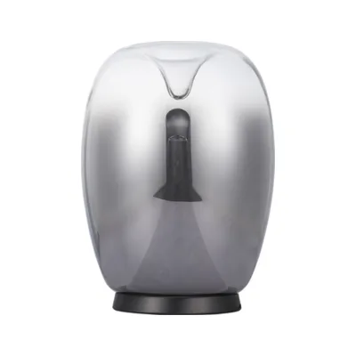 Настольная лампа Divinare Campo 5875/51 TL-15