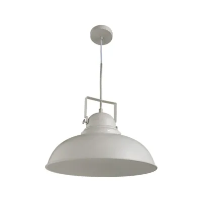 Светильник подвесной Arte Lamp MARTIN A5213SP-1WG