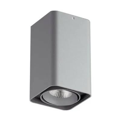 Накладной светильник Lightstar Monocco 52139